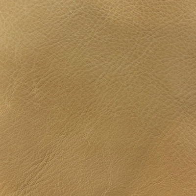 F3805 Bone Fabric: