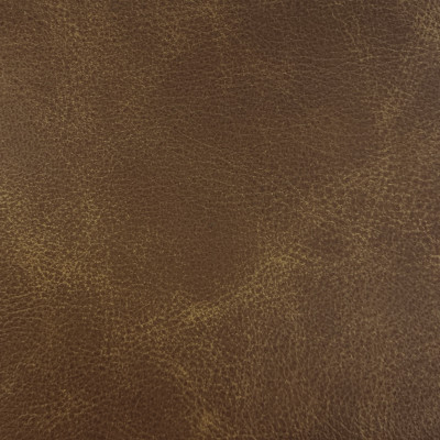 F3807 Whiskey Fabric: