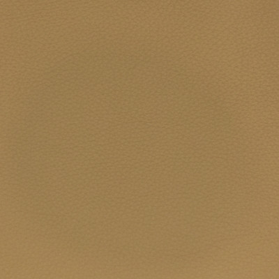 F3809 Natural Fabric: