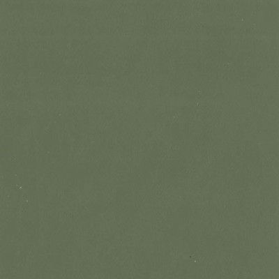 F3818 Lichen Fabric: L15, UPHOLSTERY, UPHOLSTERY LEATHER, HIDE, LEATHER HIDE, GREEN LEATHER, GREEN LEATHER HIDE, PERFORMANCE, PERFORMANCE LEATHER, PROTECTED, PROTECTED LEATHER, COW, COW HIDE