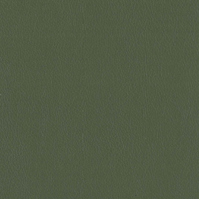 F3822 Olive Fabric: