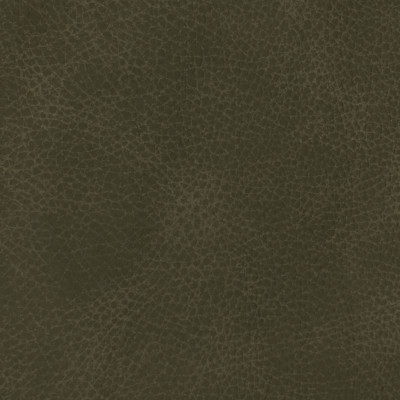 F3835 Dark Charcoal Fabric: L15, UPHOLSTERY, UPHOLSTERY LEATHER, LEATHER HIDE, DISTRESSED, DISTRESSED LEATHER, TEXTURED LEATHER, BLACK LEATHER, FULL GRAIN LEATHER, GRAIN, PERFORMANCE, PERFORMANCE LEATHER, PROTECTED, PROTECTED LEATHER, BLACK LEATHER HIDE, HIDE, COW, COW HIDE