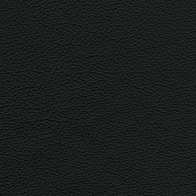 F3838 Black Fabric: