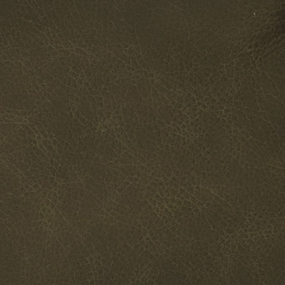 F3840 Magnetite Fabric: