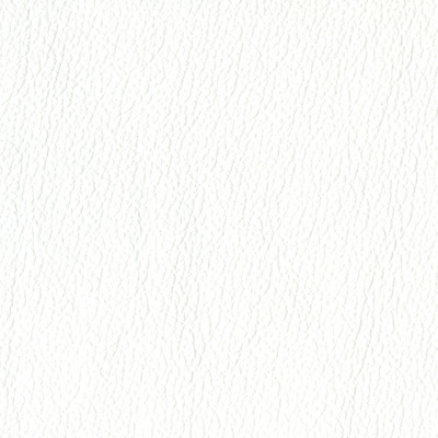 F3842 Snow Fabric: