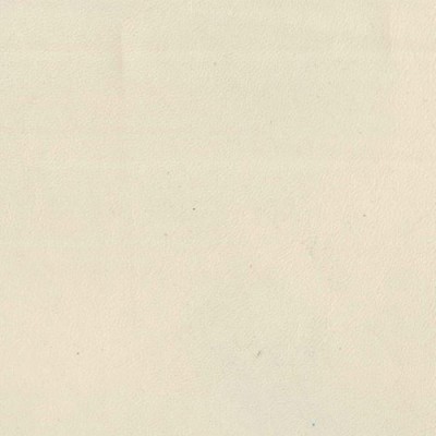 F3846 Ivory Fabric: