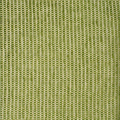 F3870 Cactus Fabric: