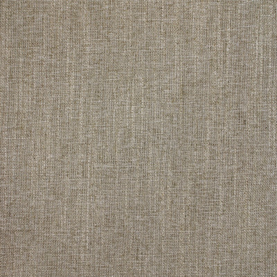 F3956 Mushroom Fabric: