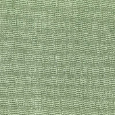 F4089 Basil Fabric: