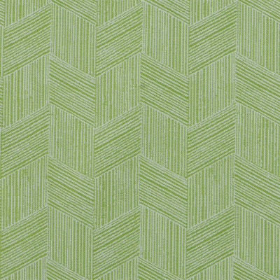 F4141 Kiwi Fabric: