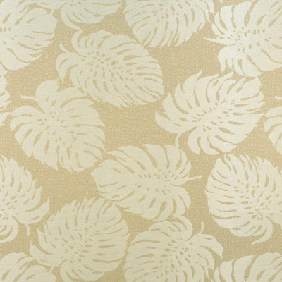 F4146 Shell Fabric:
