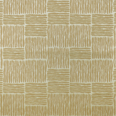 F4147 Wicker Fabric: