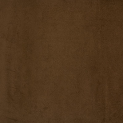 F4205 Camel Fabric: