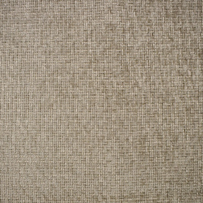 F4302 Limestone Fabric:
