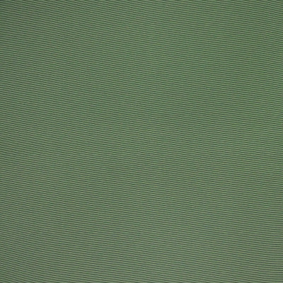 F4527 Grass Fabric: