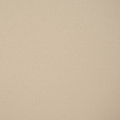 F4551 Ash Fabric: