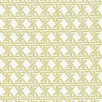 F4595 Fern Fabric: