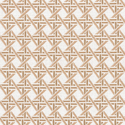 F4620 Canyon Fabric: