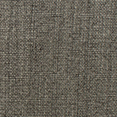 S1018 Charcoal Fabric: