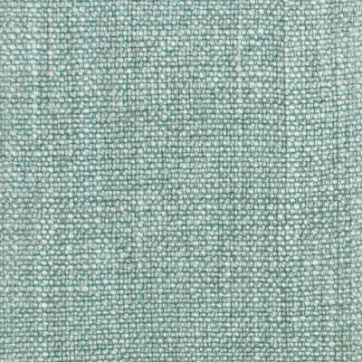 S1021 Robins Egg Fabric: S01, TEAL WOVEN, WOVEN TEAL, TEAL CHUNKY WOVEN, CHUNKY WOVEN TEAL, CHUNKY WOVEN, TEAL SOLID, SOLID TEAL, TEAL SOLID WOVEN, SOLID TEAL WOVEN, LIGHT TEAL WOVEN, SOLID LIGHT TEAL, WOVEN LIGHT TEAL, ANNA ELISABETH