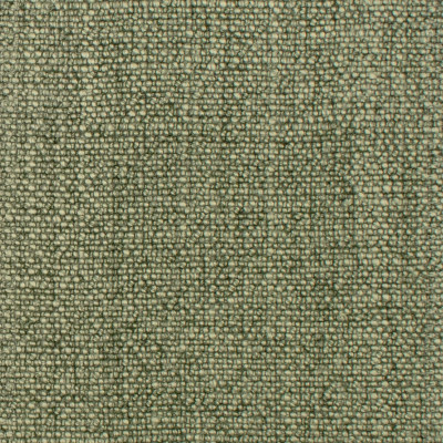 S1032 Cactus Fabric: