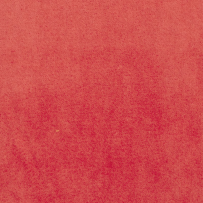 S1064 Papaya Fabric: