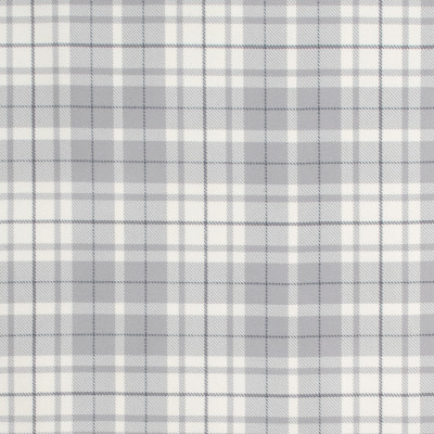 S1142 Flint Fabric: