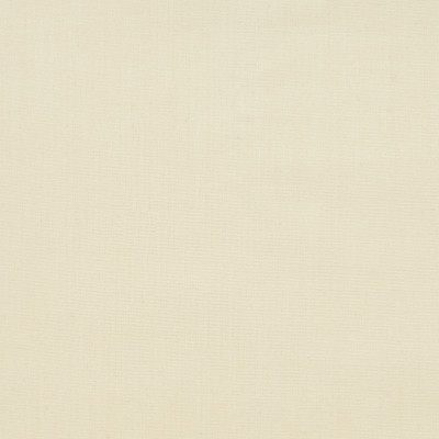 S1241 Oyster Fabric: S06, OUTDOOR, OFF WHITE SOLID, OUTDOOR IVORY, IVORY OUTDOOR, OFF WHITE, OUTDOOR OFF WHITE SOLID, SOLID OUTDOOR, IVORY