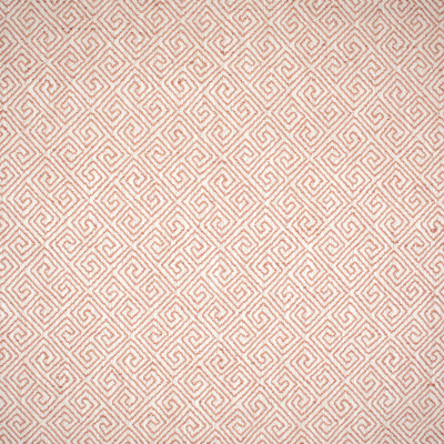 S1380 Coral Fabric: