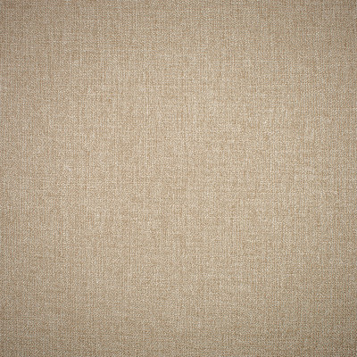 S1423 Desert Fabric: