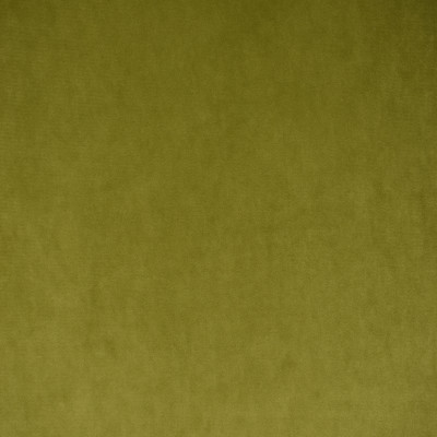 S1492 Olive Fabric: