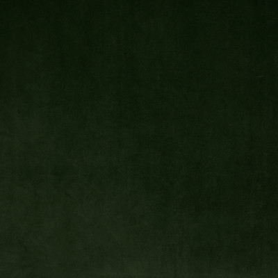 S1494 Windsor Green Fabric: