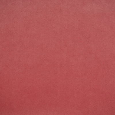 S1515 Watermelon Fabric: