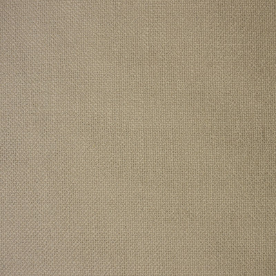 S1538 Bone Fabric: