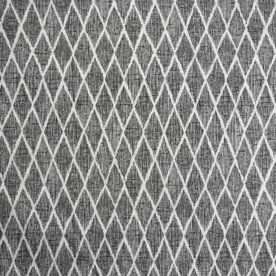 S1981 Jet Fabric: