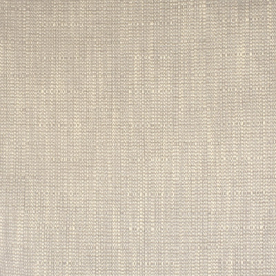 S2131 Zinc Fabric: