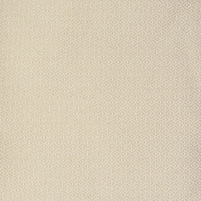 S2132 Sand Fabric: