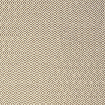 S2147 Dune Fabric: