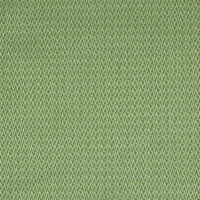 S2211 Endive Fabric: