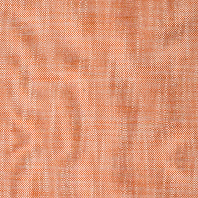 S2229 Citrus Fabric: