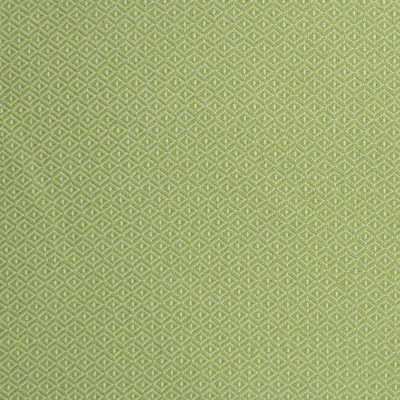 S2246 Lawn Fabric: