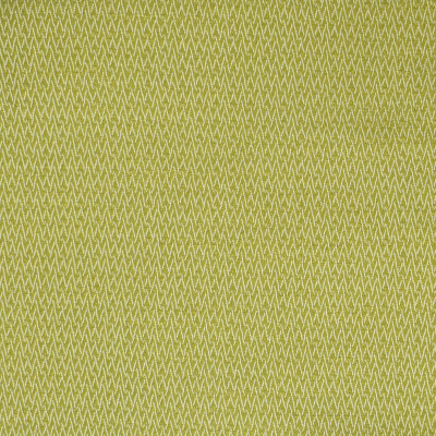 S2248 Wasabi Fabric: