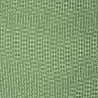 S2251 Green Fabric: