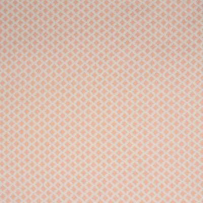 S2255 Pink Fabric: