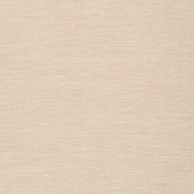 S2273 Steam Fabric:
