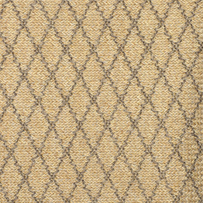 S2449 Dune Fabric: