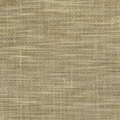 S2535 Fossil Fabric: