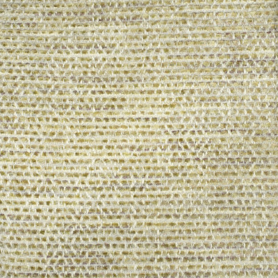 S2543 Shell Fabric: