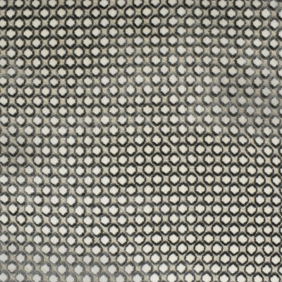 S2569 Charcoal Fabric: