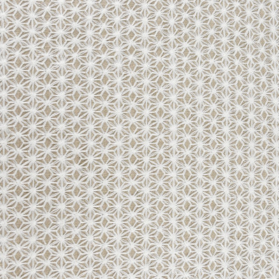 S2647 Oyster Fabric: S34, WINDOW, ANNA ELISABETH, DRAPERY, EMBROIDERY, ALL OVER EMBROIDERY, WHITE, NEUTRAL, WHITE GEOMETRIC, WHITE EMBROIDERY, GEOMETRIC EMBROIDERY, NEUTRAL EMBROIDERY